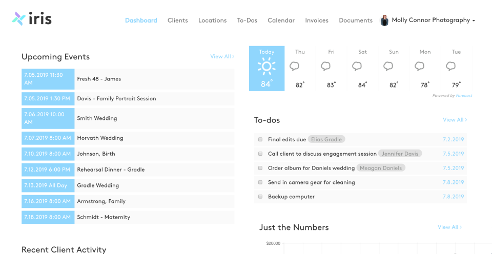 screenshot of Iris Works
